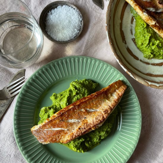 Gurnard pea pancetta puree