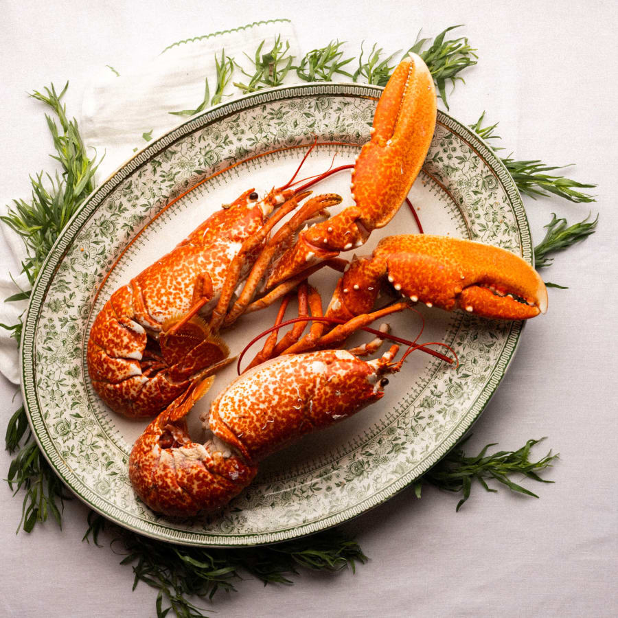 Split Lobster Buy Cooked Lobster Split Free Delivery