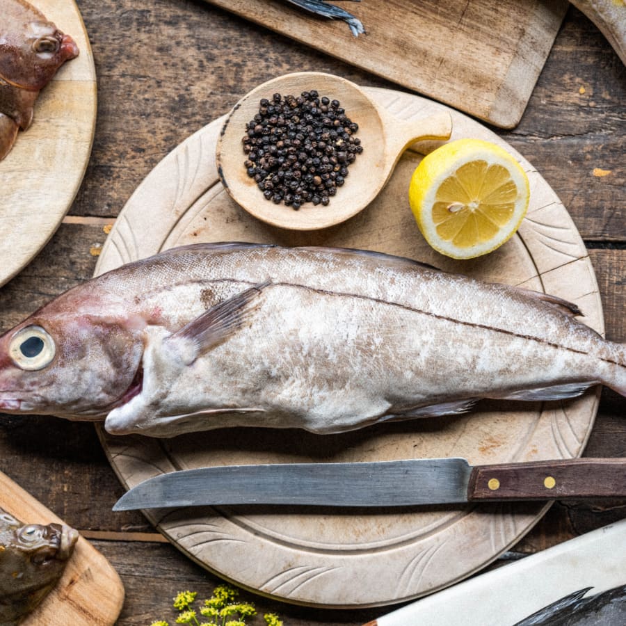 Haddock Whole Fish