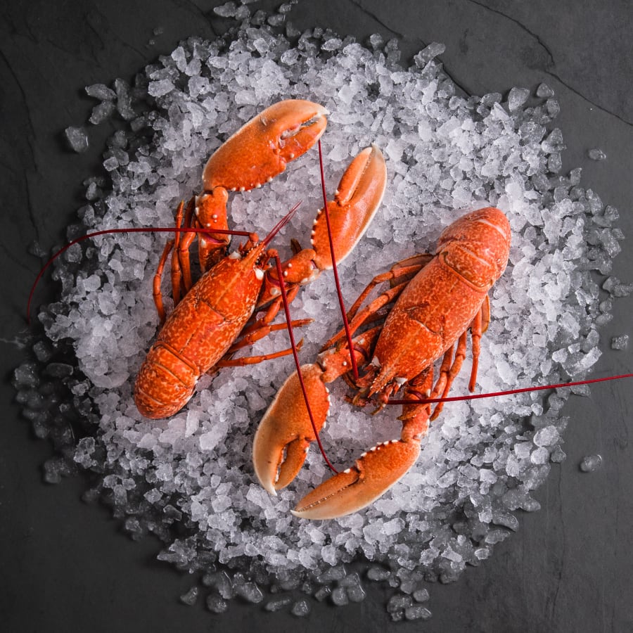 Buy Lobsters For Two Online Free Uk Delivery By Post [ 900 x 900 Pixel ]