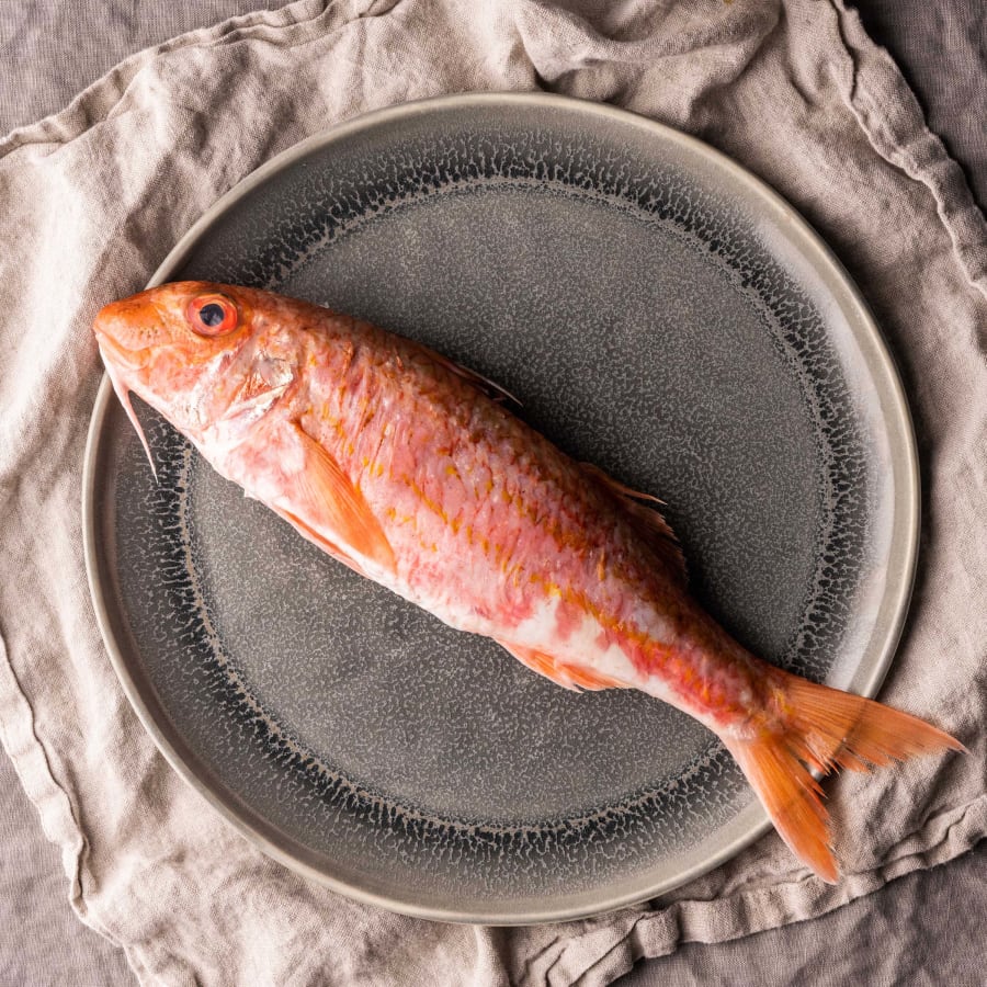 red mullet