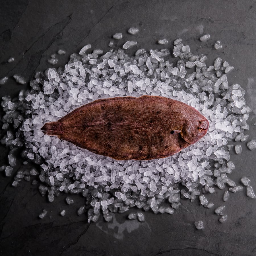 Dover Sole (Whole Fish)