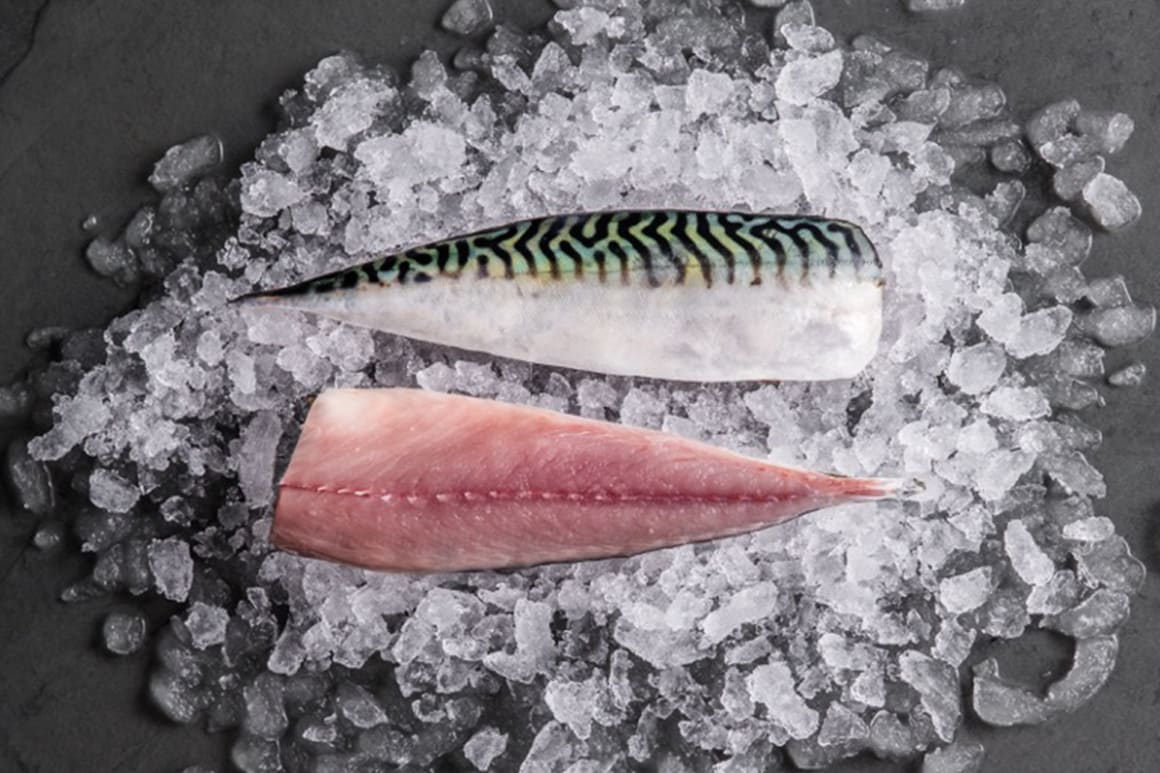 Mackerel is super healthy for children