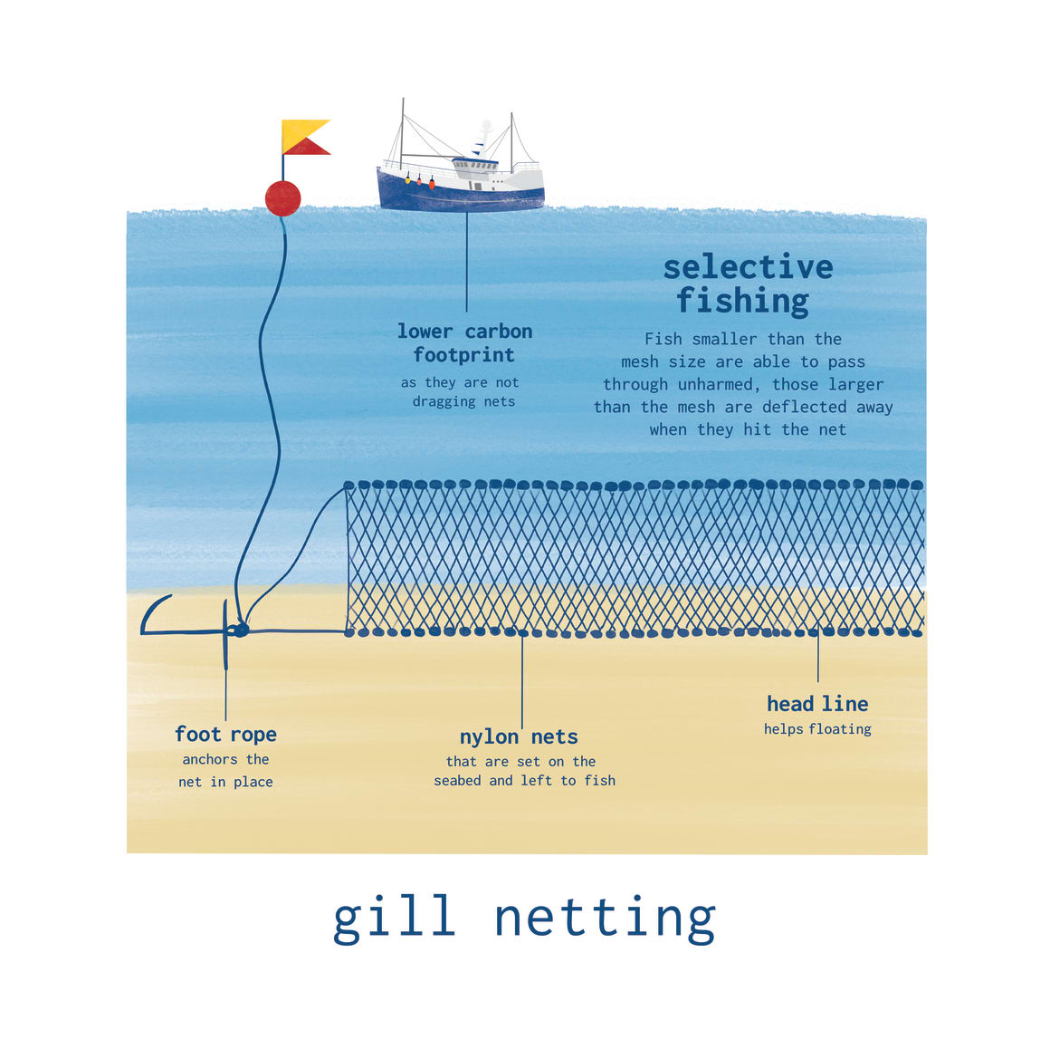 Gill Net Fishing of the Eco-Friendly Future with GTFL