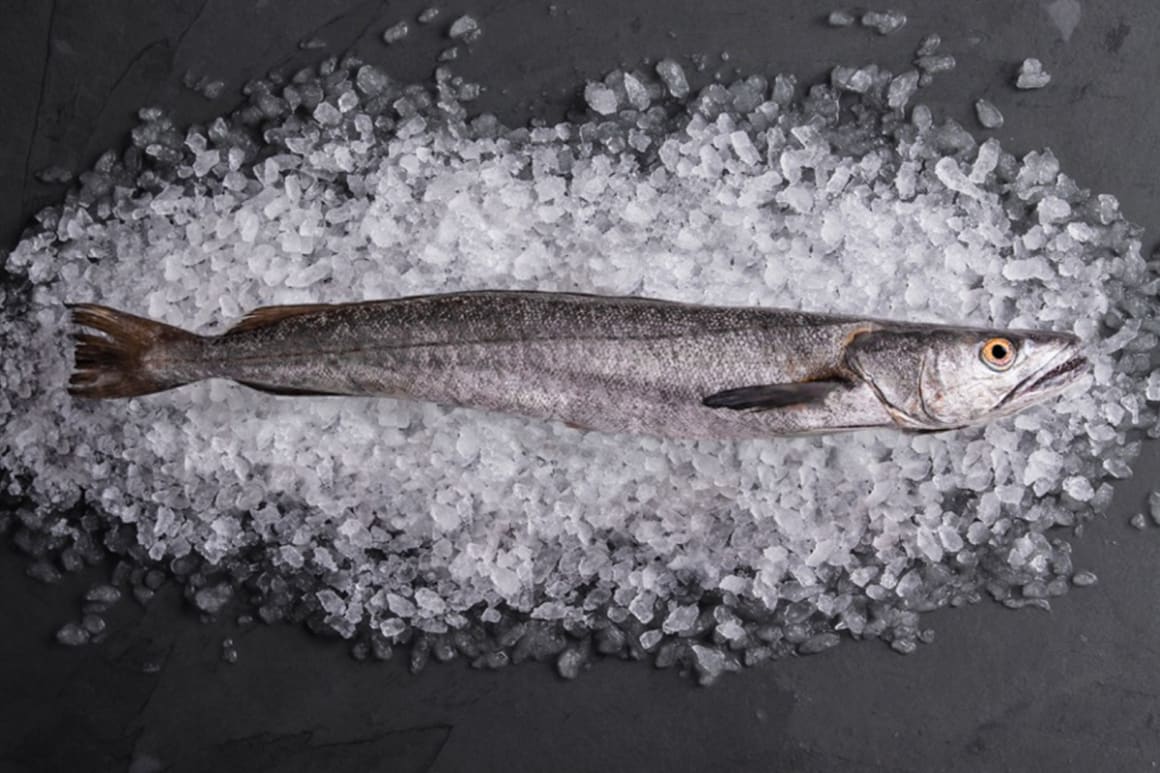 Fresh Cornish Hake