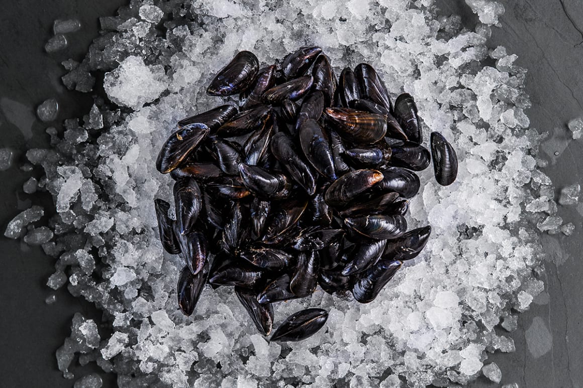 FFT Mussels