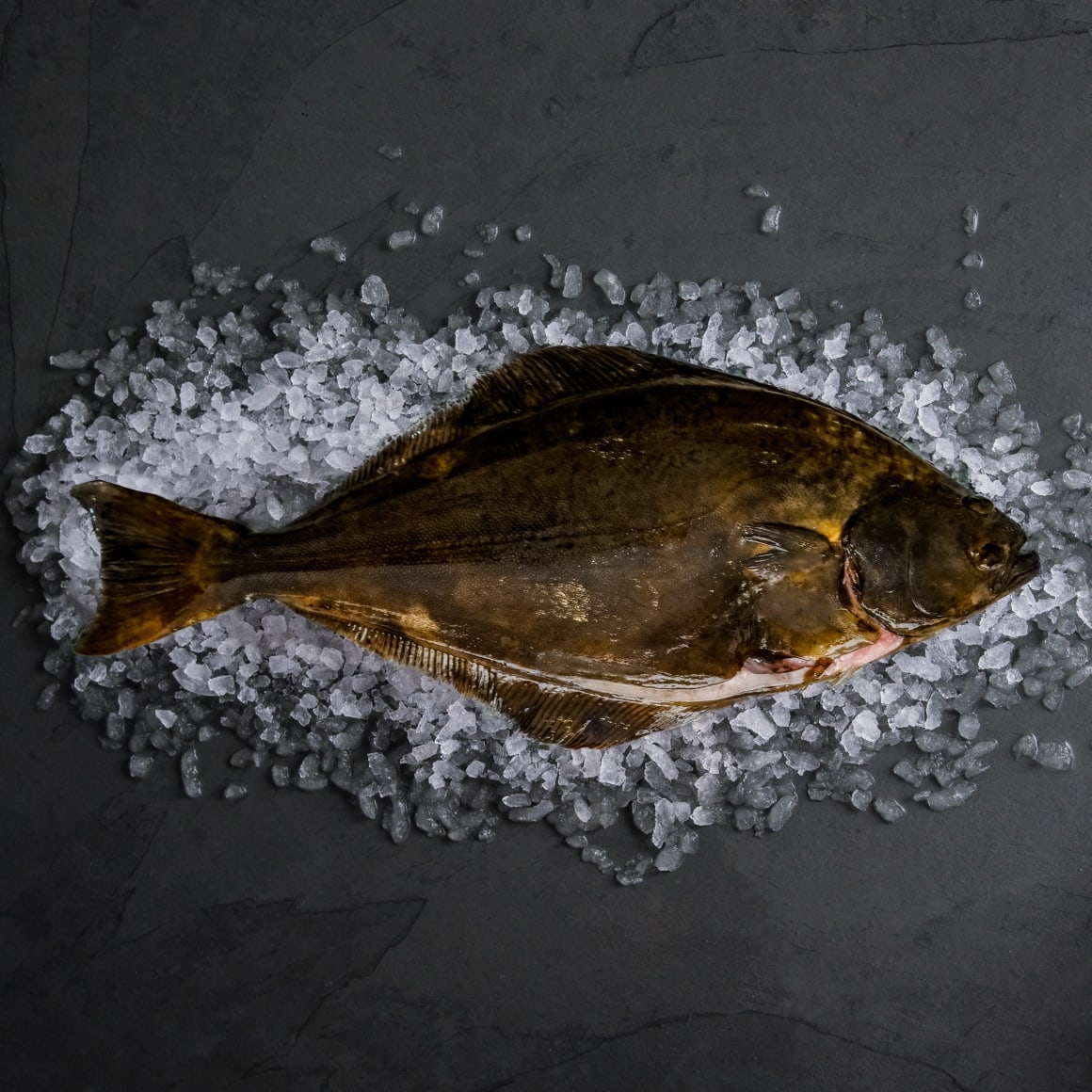 halibut egészben