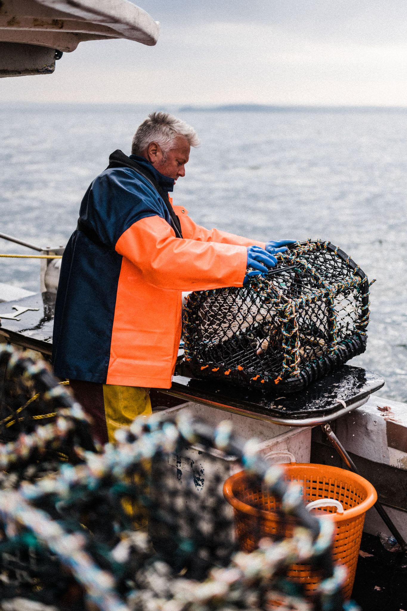 Lobster Fisherman