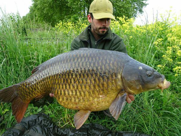 I catch a carp