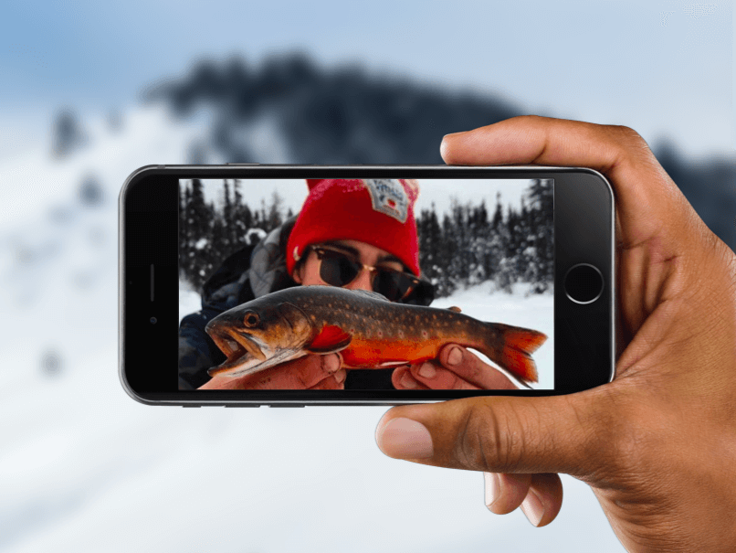 FishFriender, the digital fishing logbook