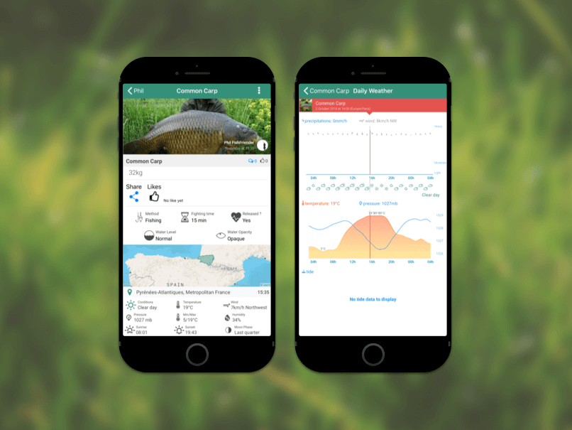I analyze the environmental data