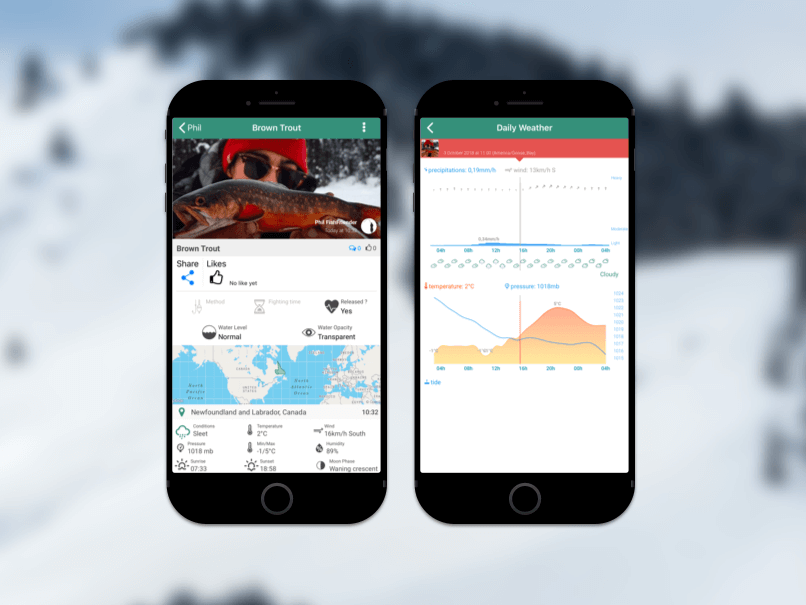 I analyze the environmental data