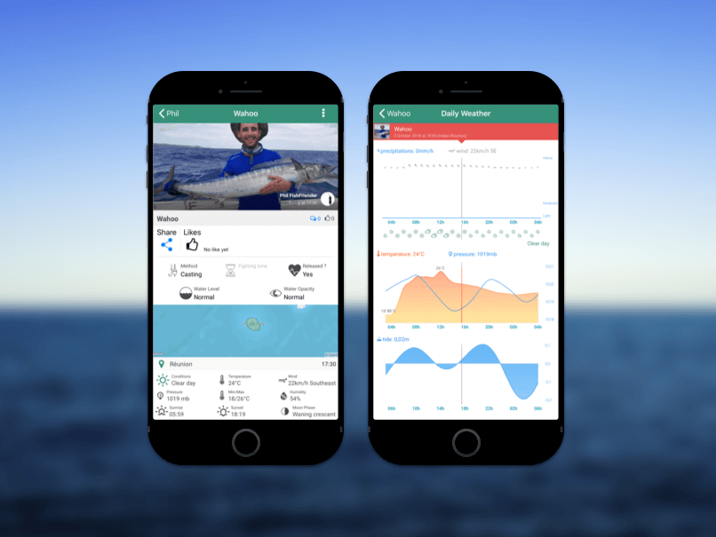 I analyze the environmental data