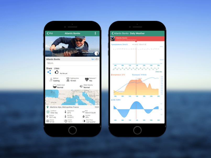 I analyze the environmental data