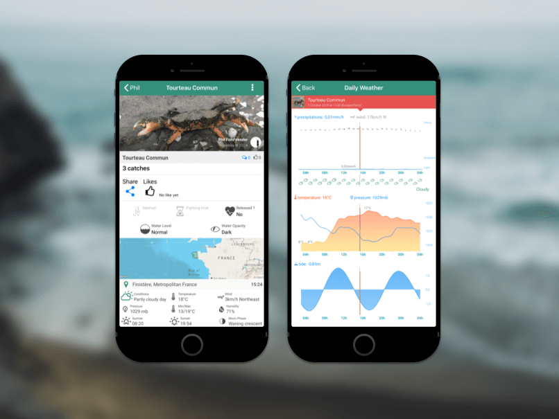 I analyze the environmental data