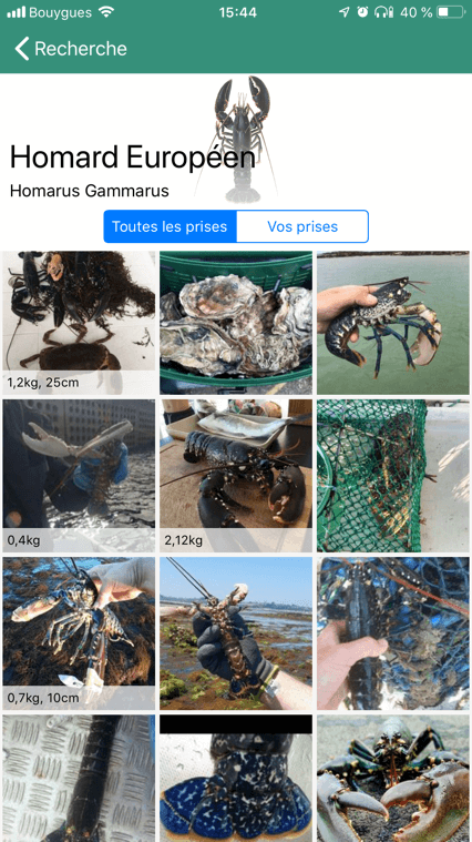 Poissons & Techniques