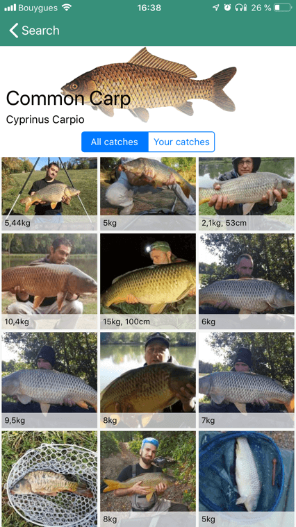 Fish & Techniques