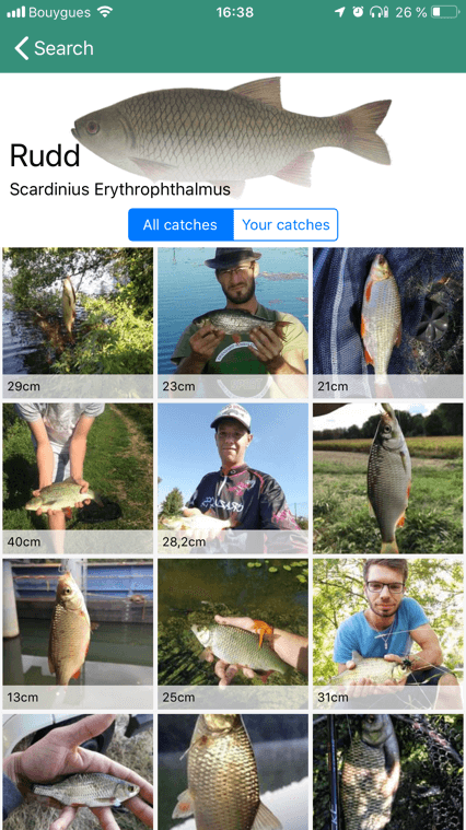 Fish & Techniques