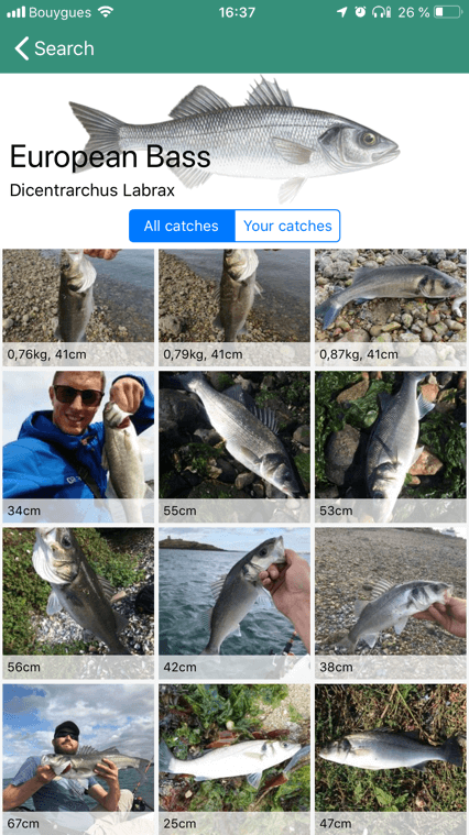 Fish & Techniques
