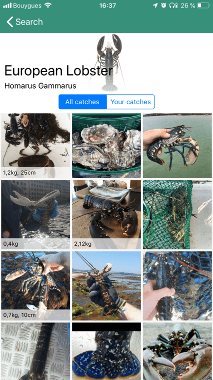 Fish & Techniques