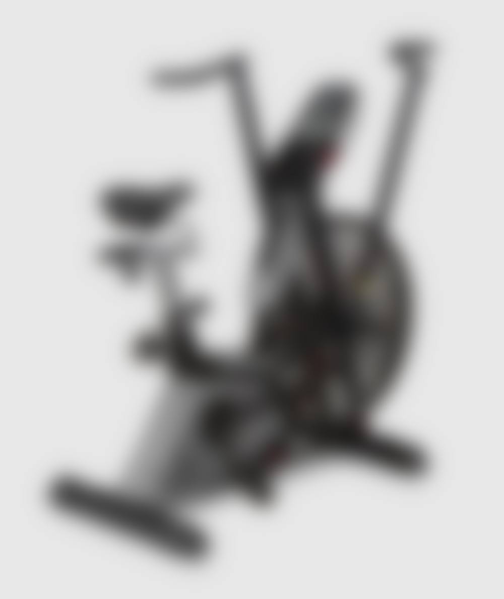 bh fitness cross 1100 air bike