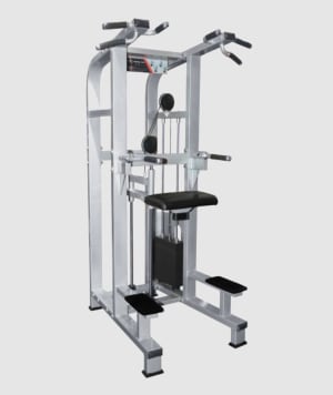 M2 Series - Chin Dip Assist