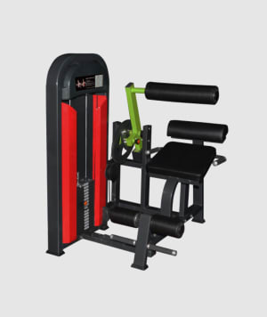 M2 Series - Back Extension