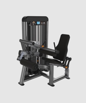 C Series - Seated Leg Curl