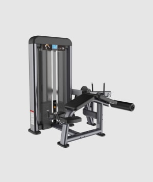 C Series - Prone Leg Curl