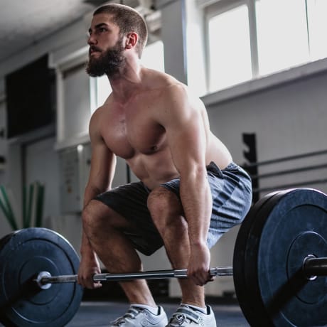 226kg Weight Rating