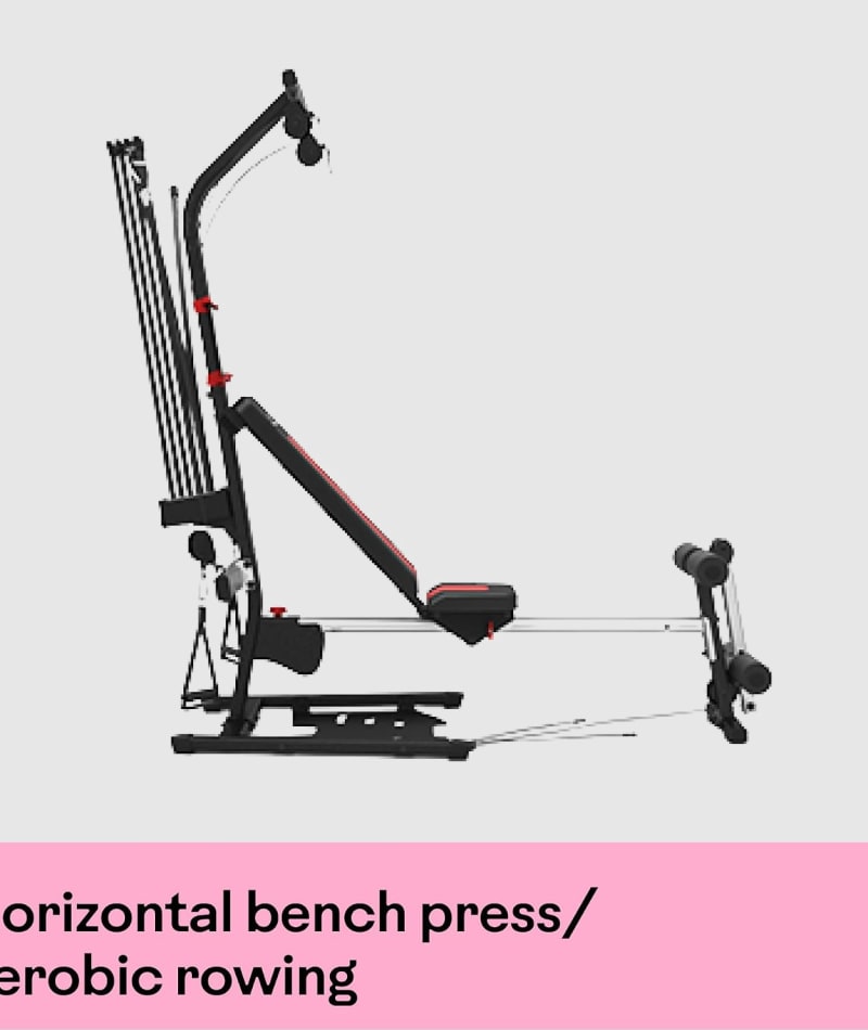 BowFlex PR1000 Power Rod Home Gym