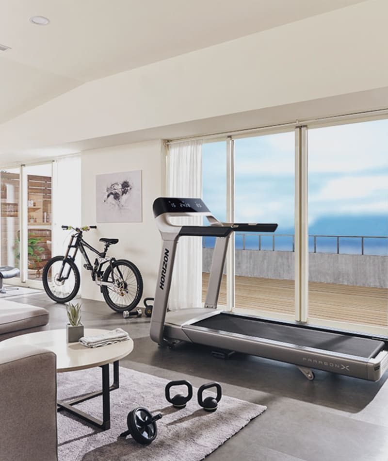 Horizon Paragon X Treadmill