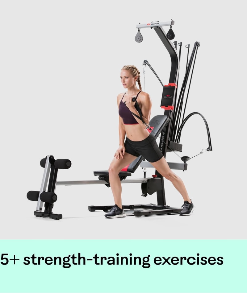 BowFlex PR1000 Power Rod Home Gym