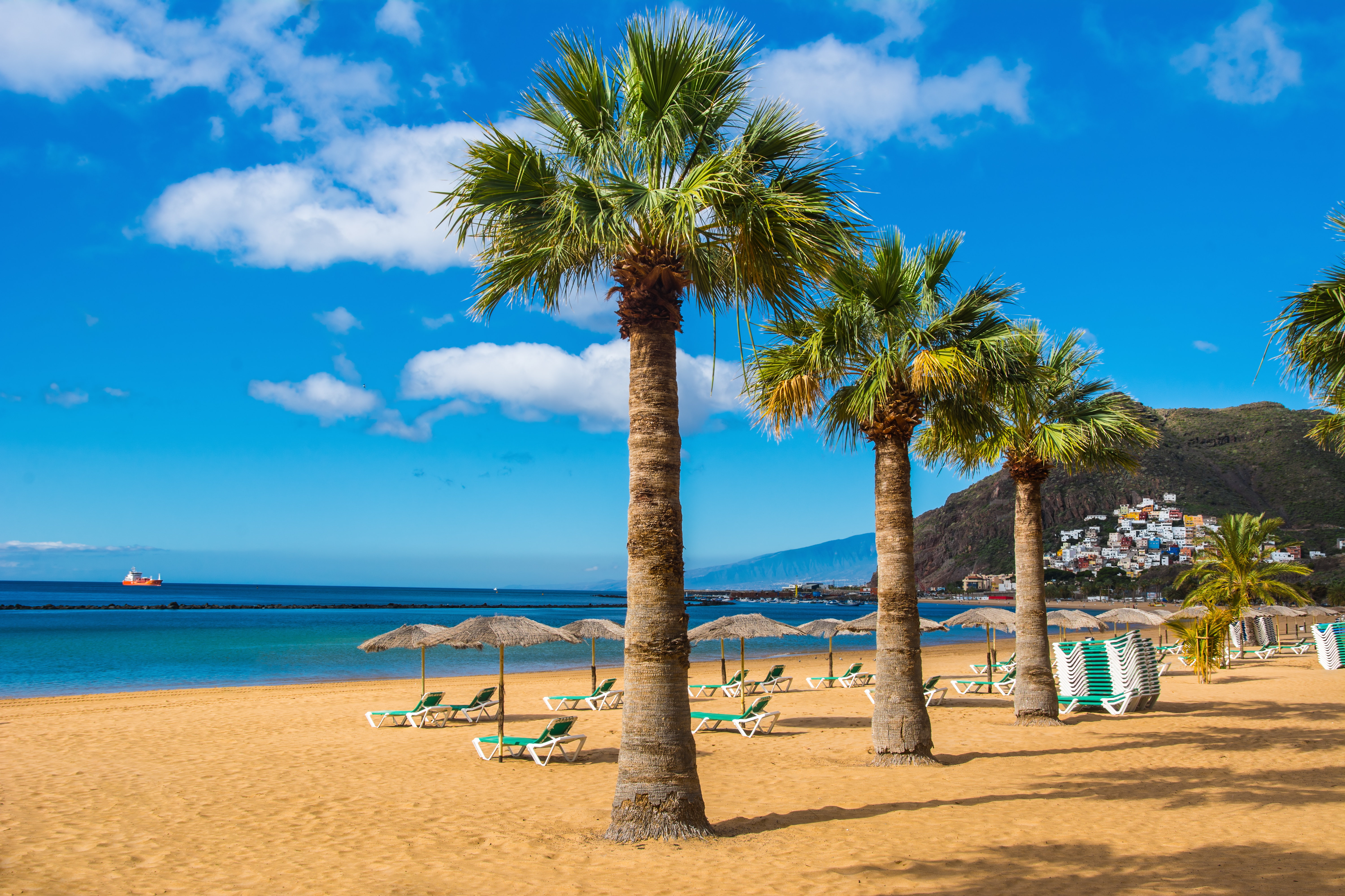 Jenný á Tenerife 2020