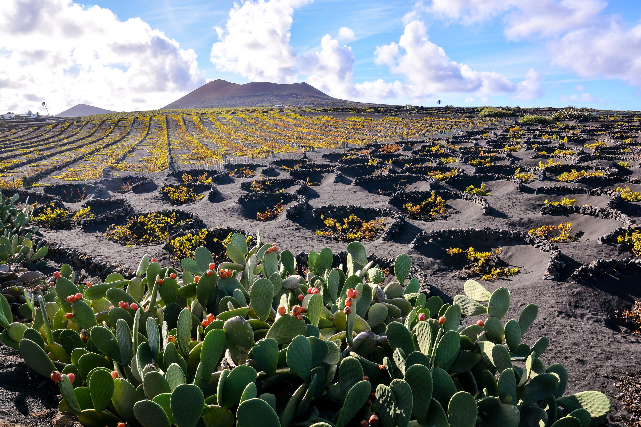 Lanzarote