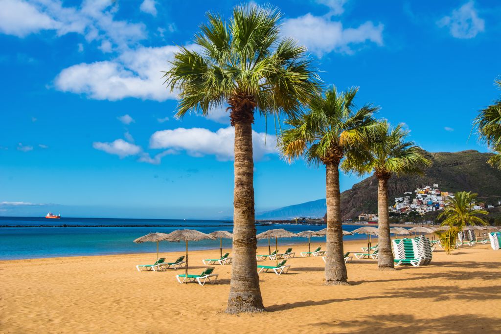 Jenný á Tenerife 2020