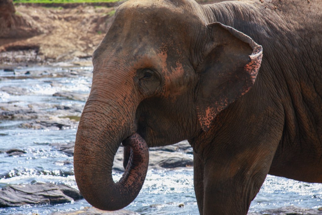Sri Lanka