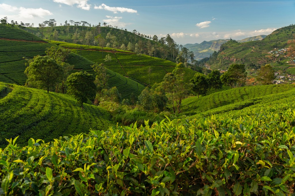 Sri Lanka