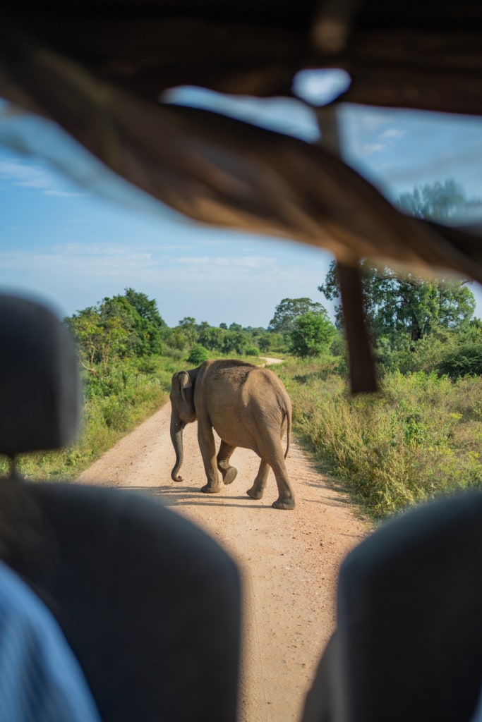 Sri Lanka