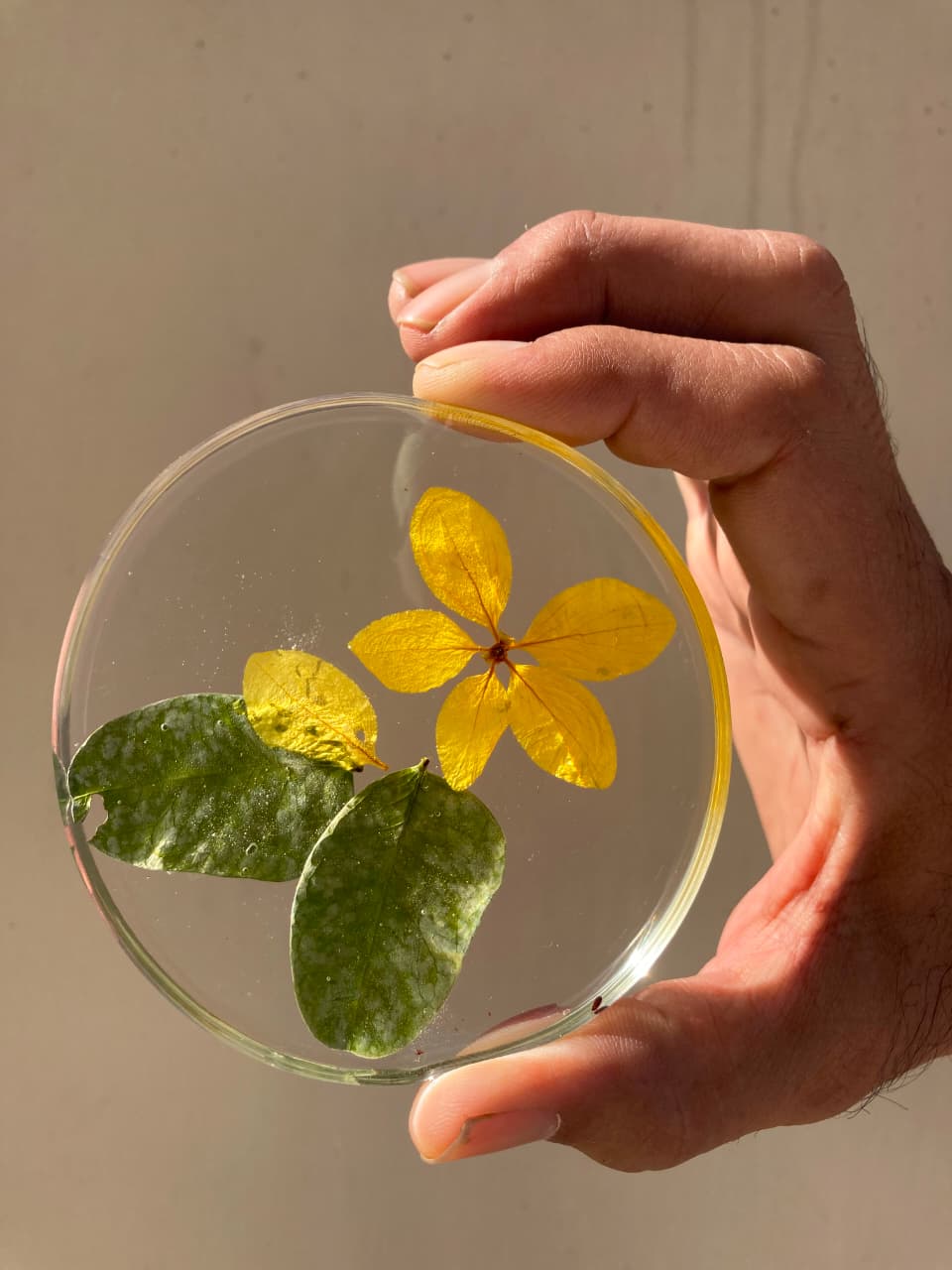 Botanical Resin Coaster Set (Set of 4) detail view