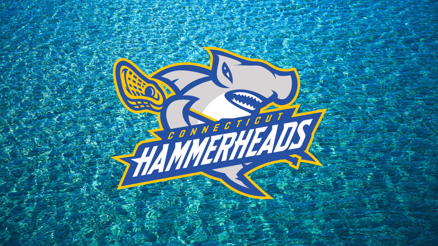 CT Hammerheads' season ends after lacrosse league player gets virus