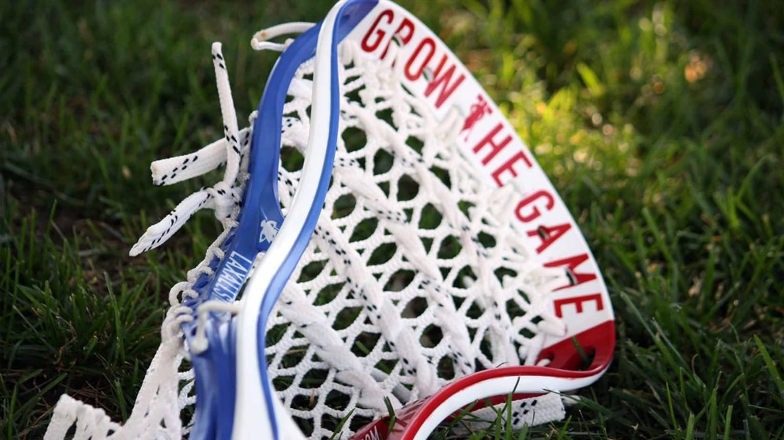 Seals should help grow game of lacrosse at local youth level