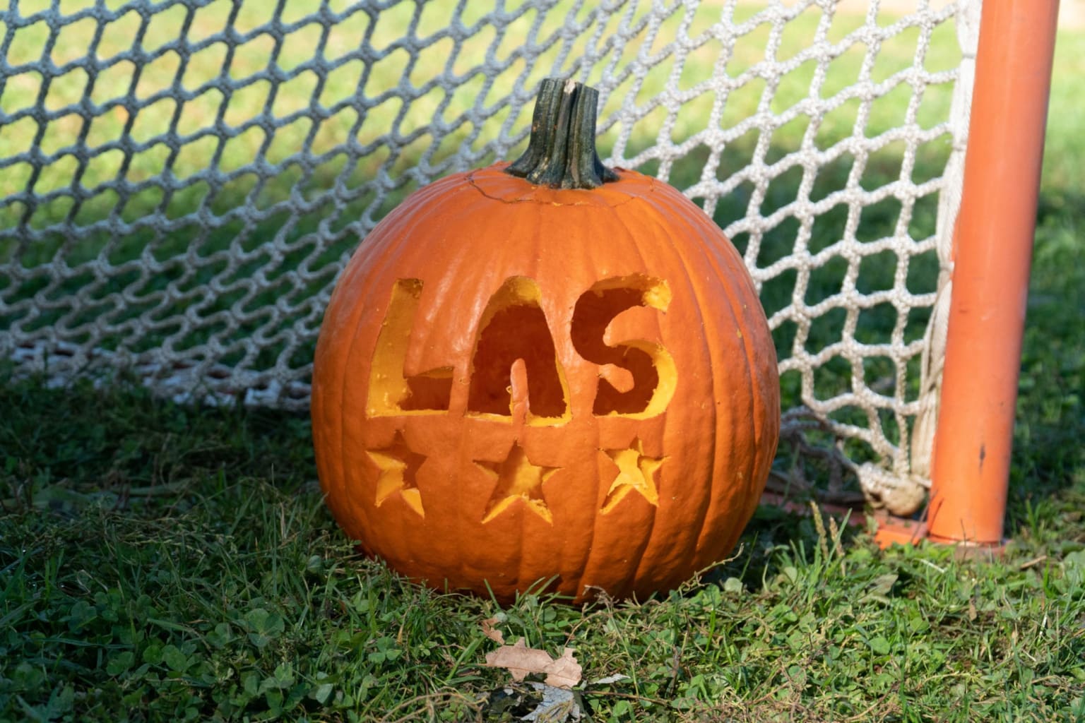 Lacrosse Pumpkin Carving Contest - Lacrosse All Stars