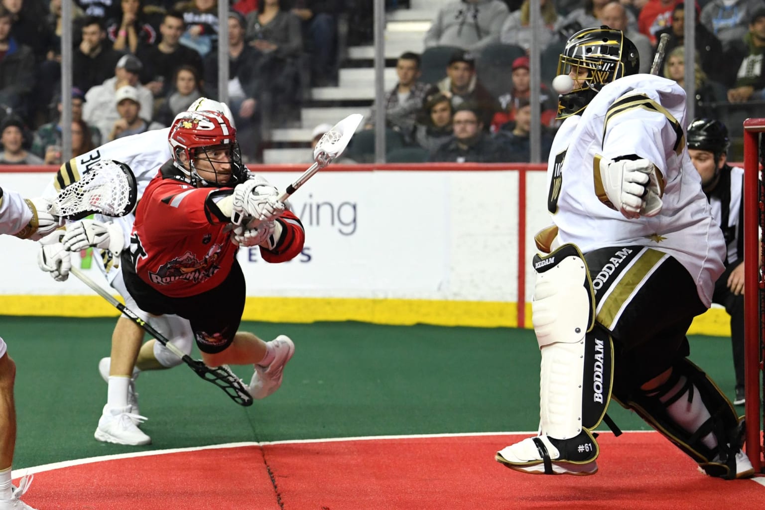 National Lacrosse League Betting Odds, Picks: San Diego Seals vs. Vancouver  Warriors