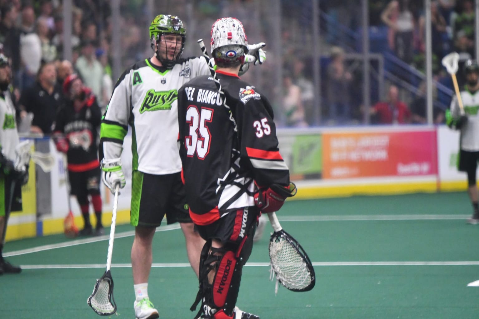 Event Feedback: New England Black Wolves vs. San Diego Seals - Fan  Appreciation Night - National Lacrosse League