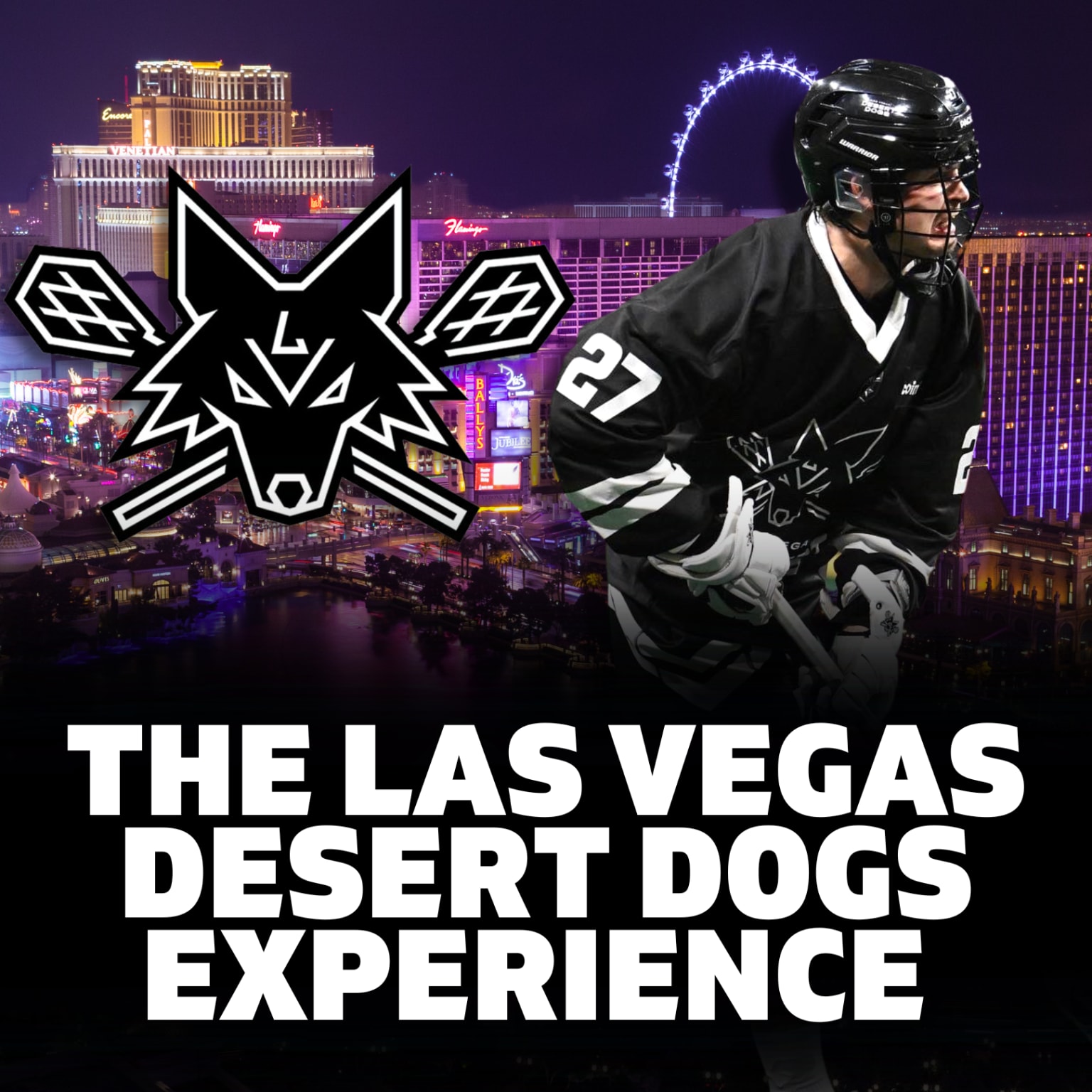 Another Pro Team Grows In Las Vegas: Indoor Lacrosse Desert Dogs