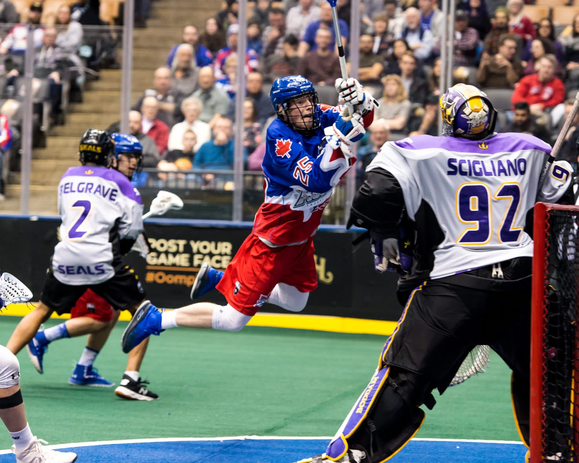 National Lacrosse League Betting Odds, Picks: NLL Week 15