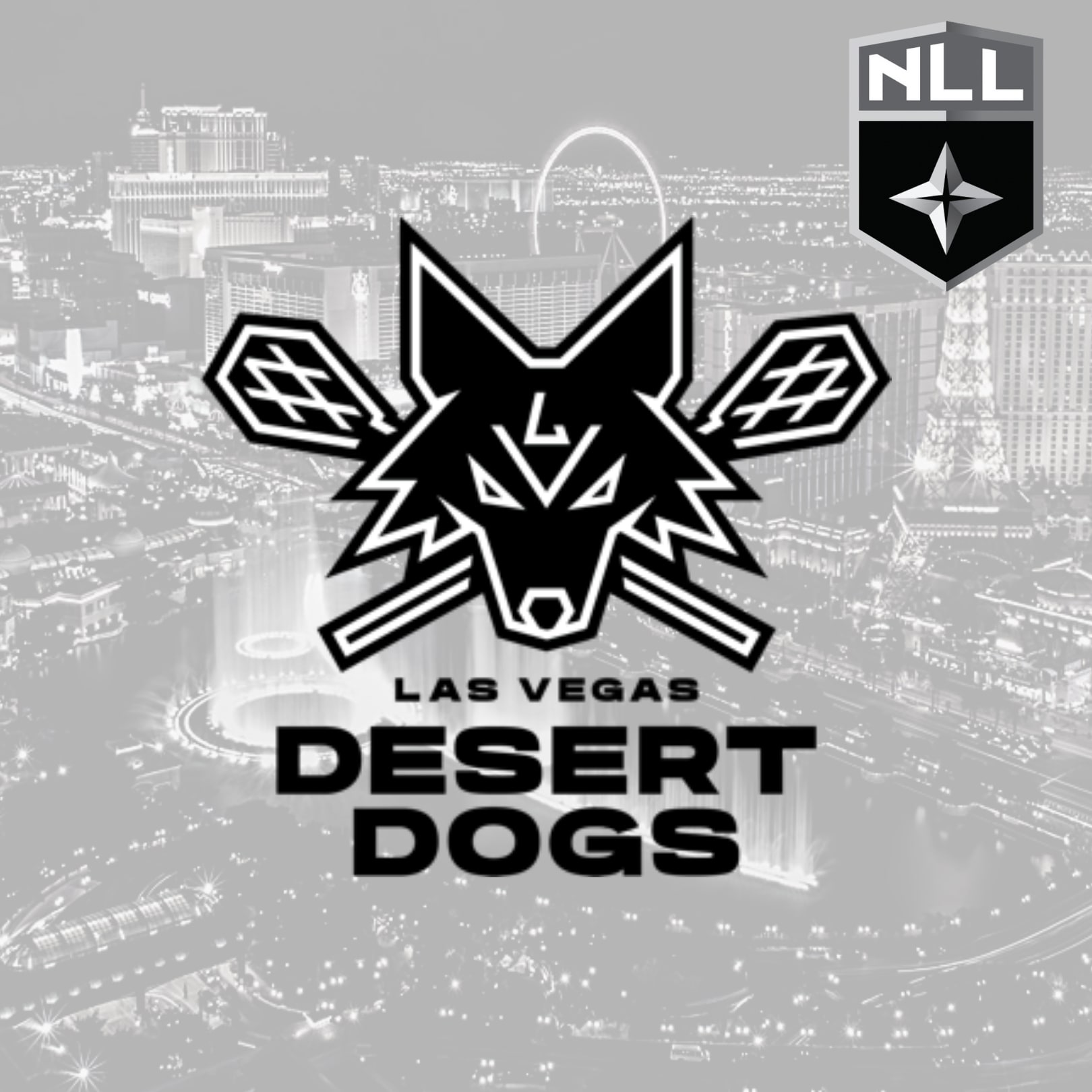 Vegas Adds Another Pro Team To Market As Lacrosse's Desert Dogs