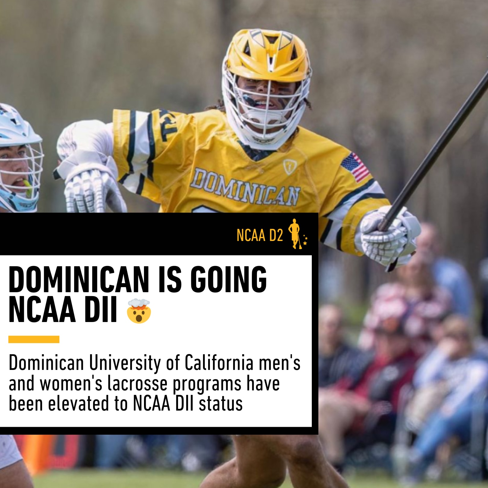 Dominican Lacrosse is Going NCAA Division 2 Lacrosse All Stars