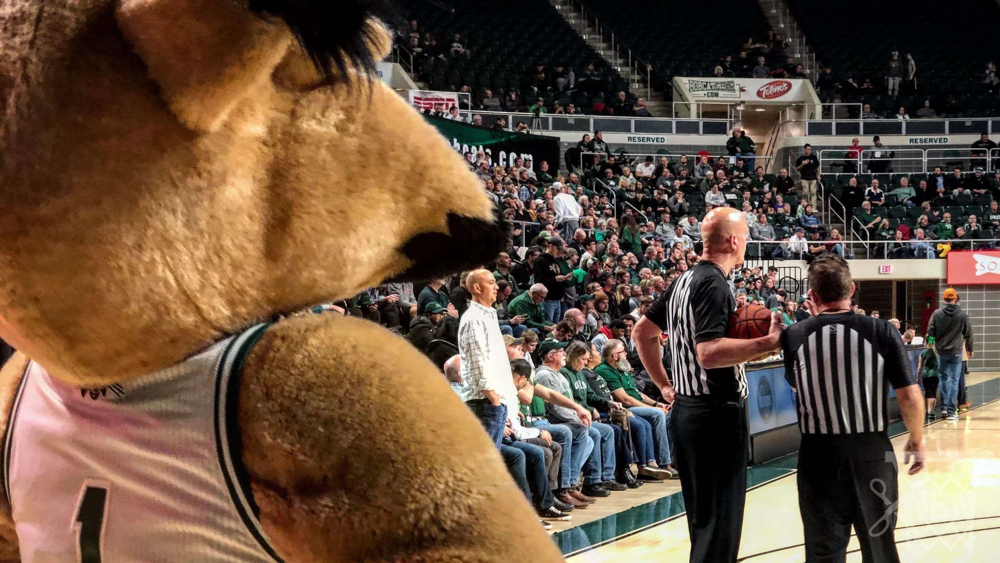 Ohio Basketball, Convocation Center Are College Hoops